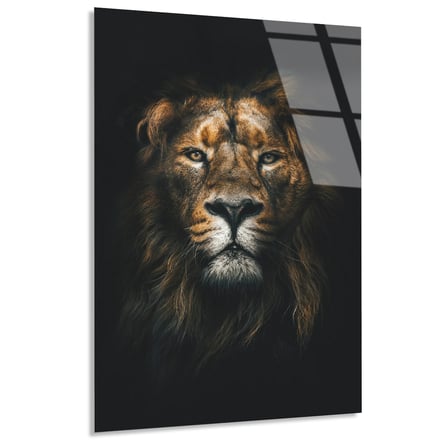 Aslan Portresi Cam Tablo 35x50 cm
