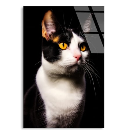 Smokin Kedi Cam Tablo 35x50 cm