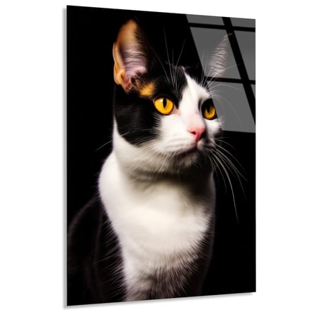Smokin Kedi Cam Tablo 35x50 cm