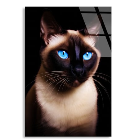 Siyam Kedisi Cam Tablo 35x50 cm