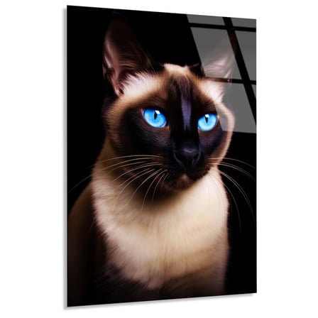 Siyam Kedisi Cam Tablo 35x50 cm