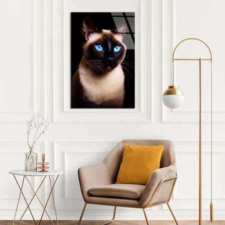 Siyam Kedisi Cam Tablo 35x50 cm