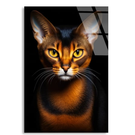 Abyssinian Kedi Cam Tablo – Hayvan Duvar Dekoru 35x50 cm