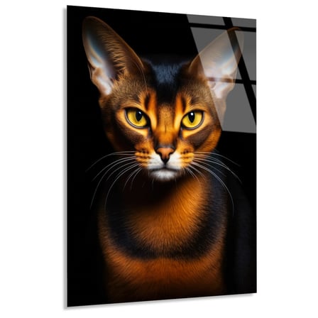 Abyssinian Kedi Cam Tablo – Hayvan Duvar Dekoru 35x50 cm