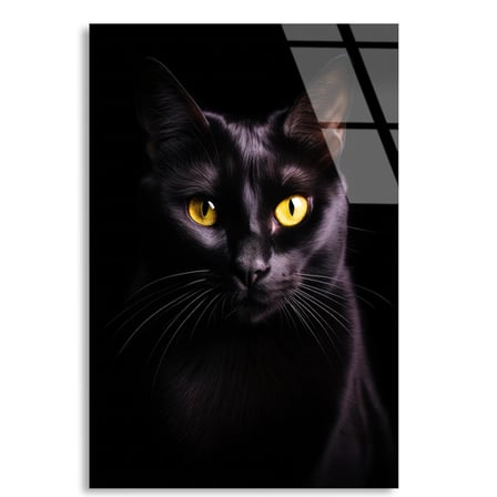 Siyah Kedi Cam Tablo 35x50 cm