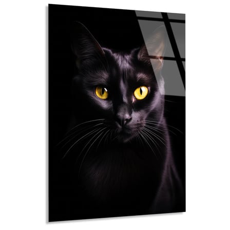 Siyah Kedi Cam Tablo 35x50 cm