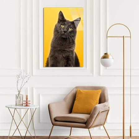 Sarı Fonda Gri Kedi Cam Tablo 35x50 cm