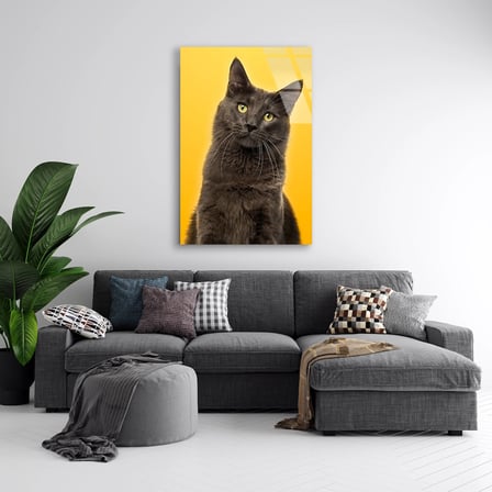 Sarı Fonda Gri Kedi Cam Tablo 35x50 cm