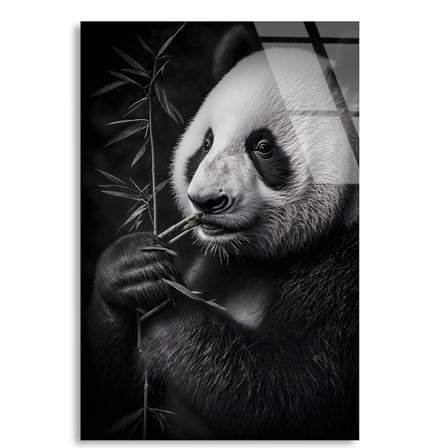 Bambulu Panda Cam Tablo 35x50 cm
