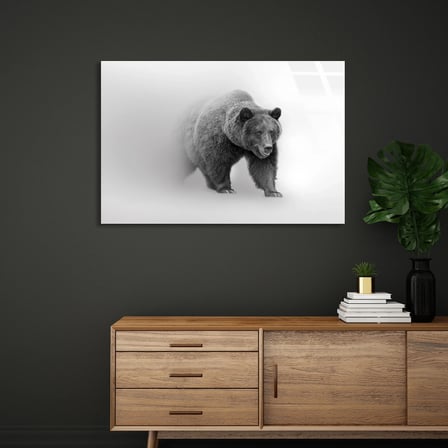 Siyah Beyaz Ayı Cam Tablo 50x35 cm