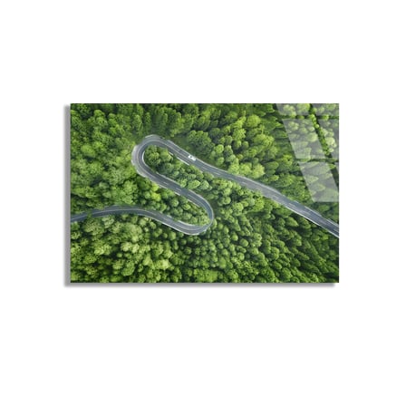 Orman Yılankavi Yol Cam Tablo 50x35 cm