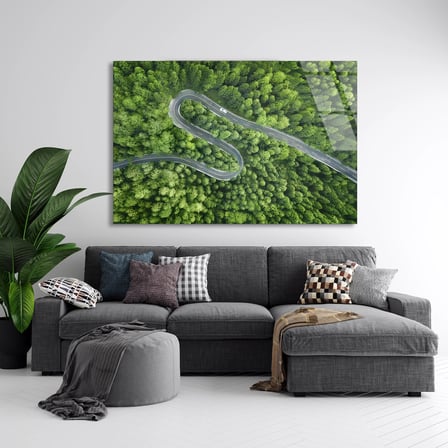 Orman Yılankavi Yol Cam Tablo 50x35 cm