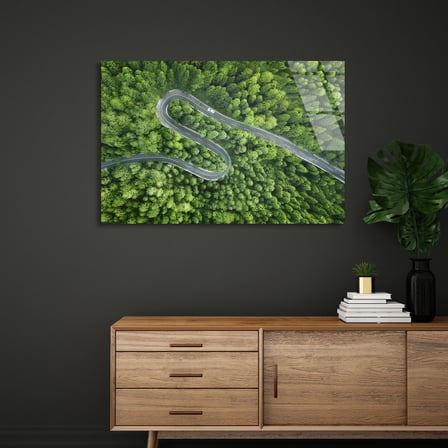 Orman Yılankavi Yol Cam Tablo 50x35 cm