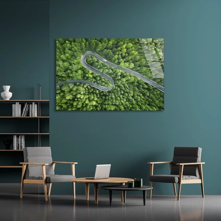 Orman Yılankavi Yol Cam Tablo 50x35 cm