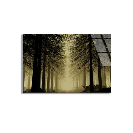 Sisli Karanlık Orman Cam Tablo 50x35 cm