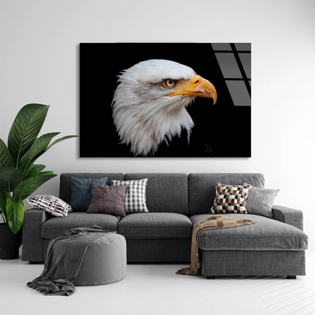 Kel Kartal Portresi Cam Tablo 50x35 cm