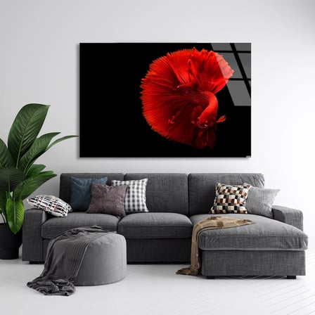 Kırmızı Beta Balığı Cam Tablo 50x35 cm