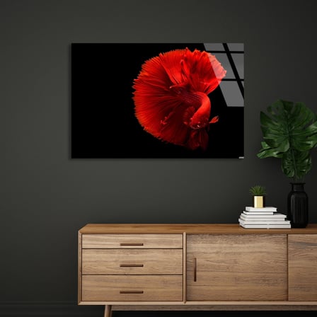 Kırmızı Beta Balığı Cam Tablo 50x35 cm