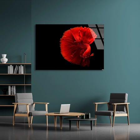 Kırmızı Beta Balığı Cam Tablo 50x35 cm