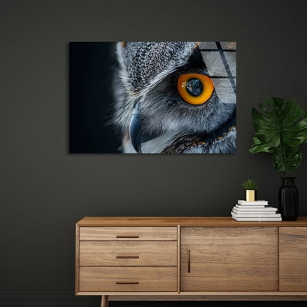 Baykuş Göz Yakın Çekim Cam Tablo 50x35 cm