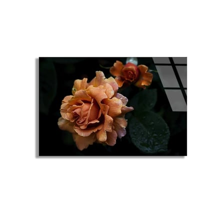 Turuncu Gül Çiçeği Cam Tablo 50x35 cm