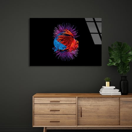 Renkli Beta Balığı Cam Tablo 50x35 cm