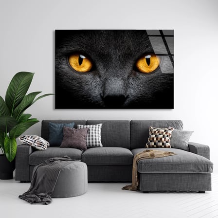 Sarı Gözlü Kedi Cam Tablo 50x35 cm