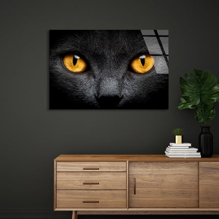 Sarı Gözlü Kedi Cam Tablo 50x35 cm
