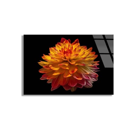 Turuncu Çiçek Cam Tablo 50x35 cm
