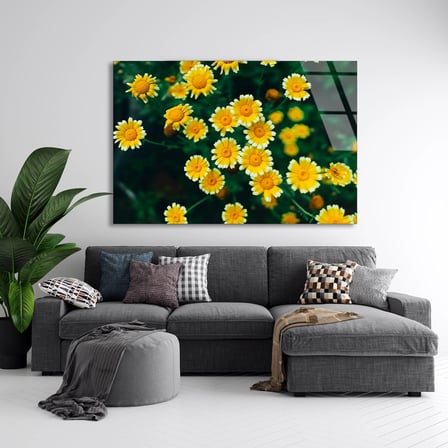 Sarı Papatyalar Cam Tablo 50x35 cm