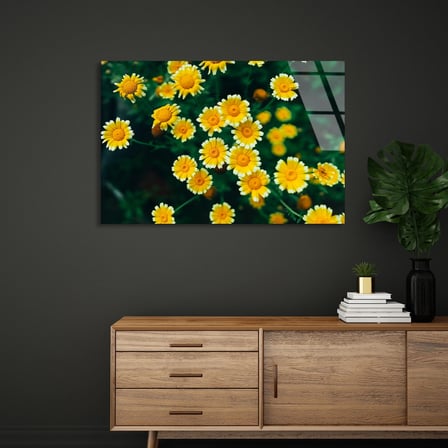 Sarı Papatyalar Cam Tablo 50x35 cm