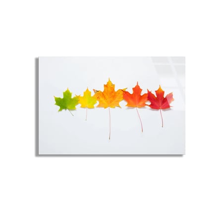 Sonbahar Yaprakları Cam Tablo 50x35 cm