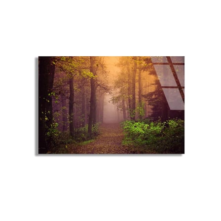 Sisli Orman Yolu Cam Tablo 50x35 cm