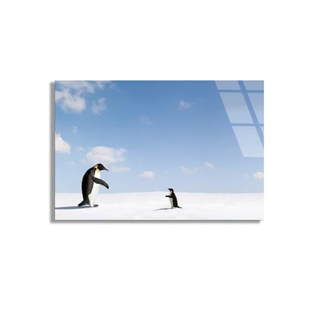 Karda Penguenler Cam Tablo 50x35 cm