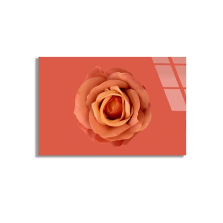 Somon Rengi Gül Cam Tablo 50x35 cm