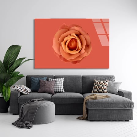 Somon Rengi Gül Cam Tablo 50x35 cm