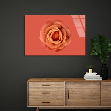 Somon Rengi Gül Cam Tablo 50x35 cm
