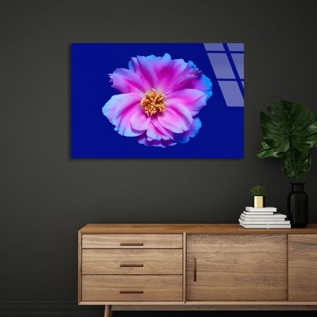 Pembe Çiçek Cam Tablo 50x35 cm