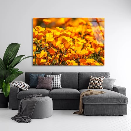 Turuncu Gelincikler Cam Tablo 50x35 cm