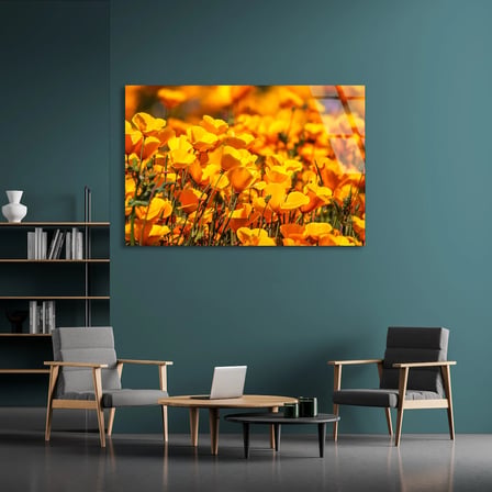 Turuncu Gelincikler Cam Tablo 50x35 cm