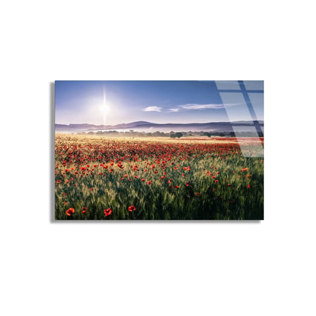 Gelincik Tarlası Cam Tablo 50x35 cm