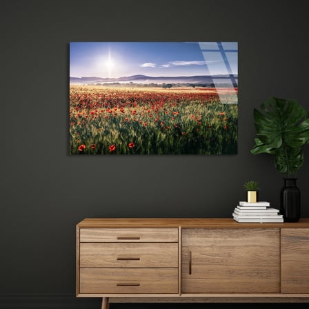 Gelincik Tarlası Cam Tablo 50x35 cm