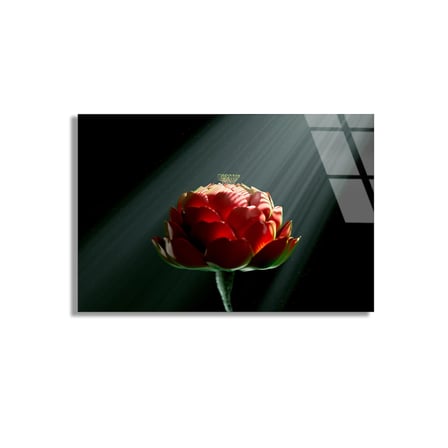 Kırmızı Çiçek Cam Tablo 50x35 cm