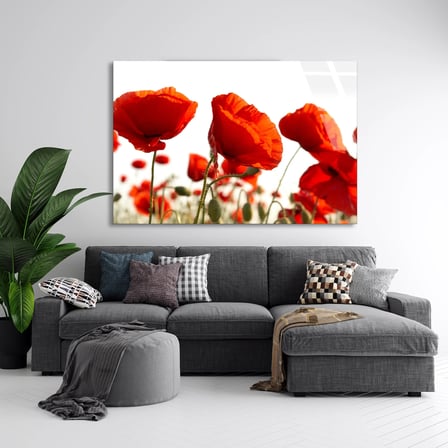 Kırmızı Gelincikler Cam Tablo 50x35 cm