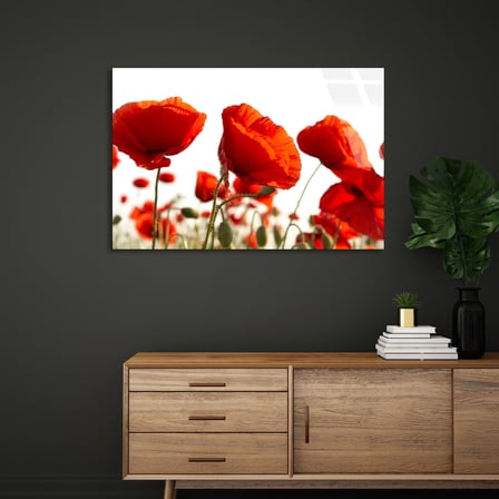 Kırmızı Gelincikler Cam Tablo 50x35 cm