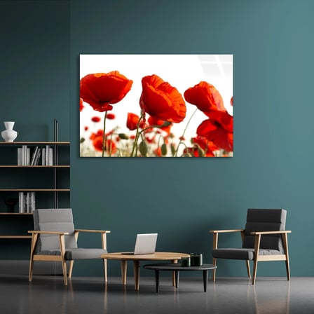 Kırmızı Gelincikler Cam Tablo 50x35 cm