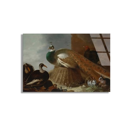 Tavus Kuşu Tablosu Cam Tablo 50x35 cm