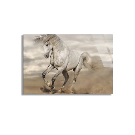 Beyaz At Cam Tablo 50x35 cm