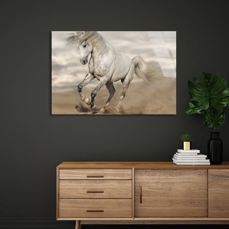 Beyaz At Cam Tablo 50x35 cm