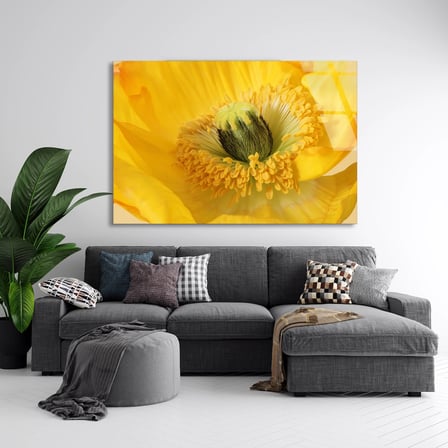 Sarı Gelincik Cam Tablo 50x35 cm